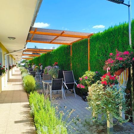 Cozy Room With Garden In Bratislava Ngoại thất bức ảnh